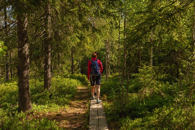 Wildlife Forest Hike - Wildlife watching requires patience