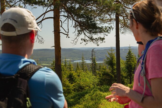 Wildlife Forest Hike - Frognerseteren begins the move into Nordmarka