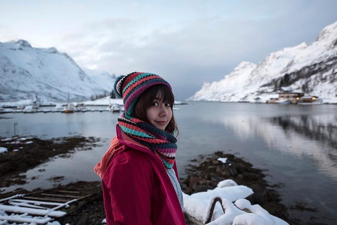 Winter Fjord Road Trip with Wandering Owl - Key points to know before booking
