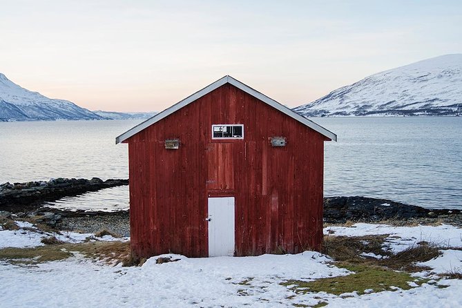 Winter Fjord Road Trip with Wandering Owl - Leaving Tromsø for Kvaløya