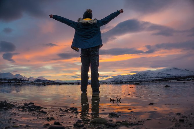 Winter Fjord Road Trip with Wandering Owl - Reindeer, birds, and the wildlife element