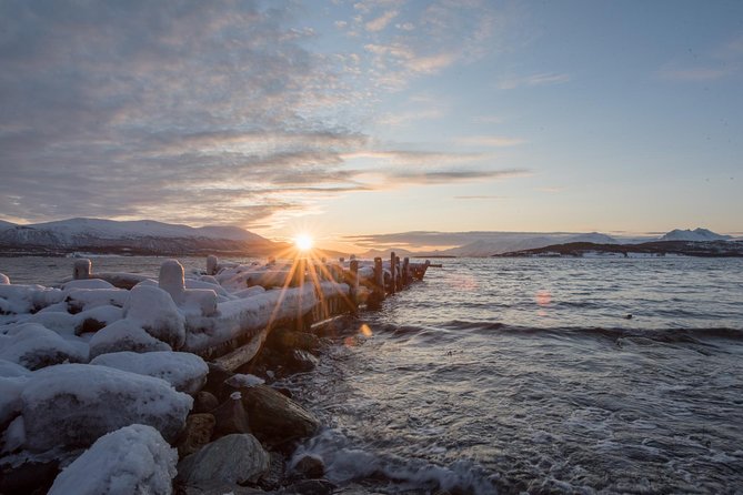 Winter Fjord Road Trip with Wandering Owl - A picnic by the fjord