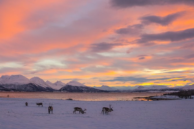 Winter Fjord Road Trip with Wandering Owl - The guides make the difference