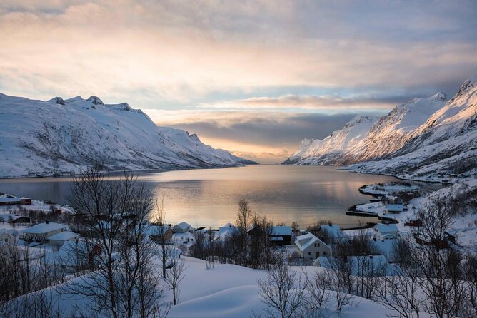 Winter Fjord Road Trip with Wandering Owl - Grotfjord, the first major photo stop