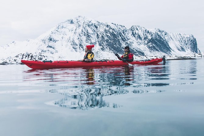 Winter Half Day Kayak Tour - Key points before you book