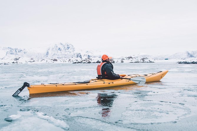 Winter Half Day Kayak Tour - Beginner instruction and the small group advantage