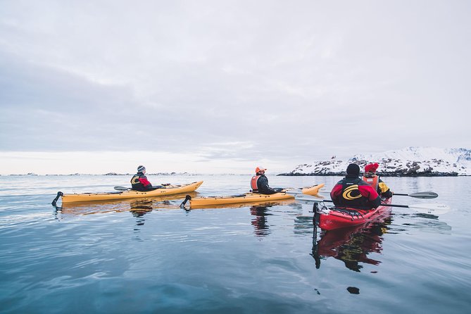 Winter Half Day Kayak Tour - Coffee, cookies, and a welcome pause