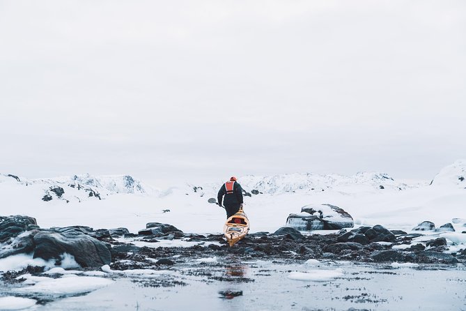 Winter Half Day Kayak Tour - Is $118.45 a fair price?