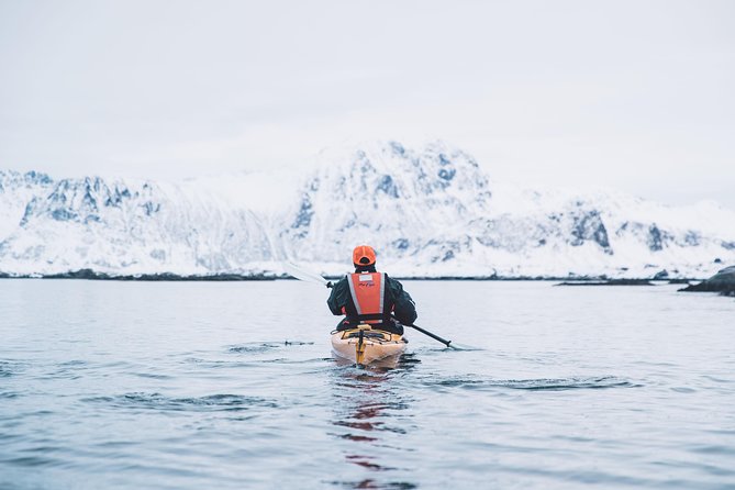 Winter Half Day Kayak Tour - Timing, meeting point, and practical planning