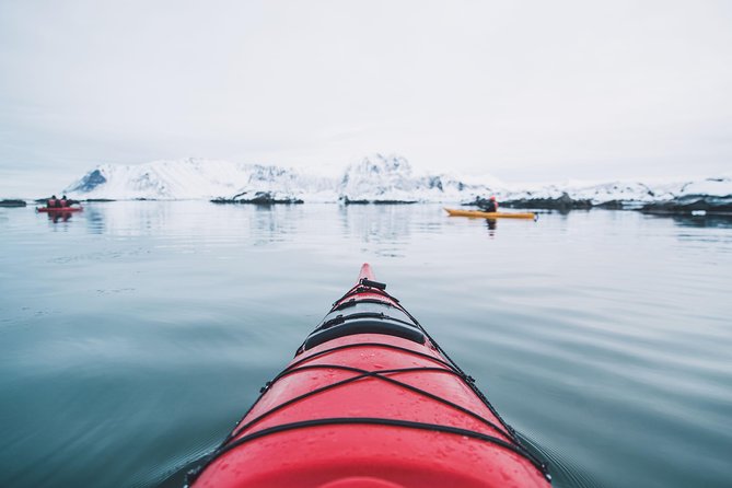 Winter Half Day Kayak Tour - What happens during the three-hour tour
