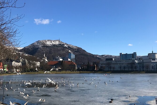 Zero Emission Bergen City Tour By Car - Key points at a glance