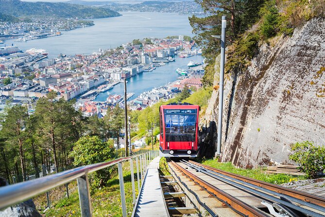 Zero Emission Bergen City Tour By Car - Why this private Bergen tour works well